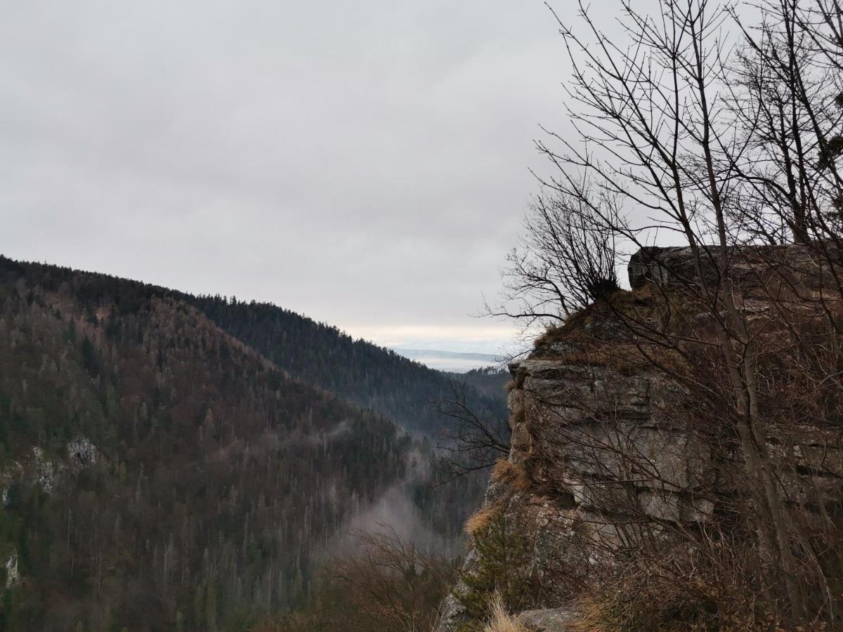 Ubytovanie Lala Spišské Tomášovce Kültér fotó